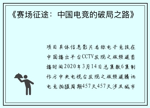 《赛场征途：中国电竞的破局之路》